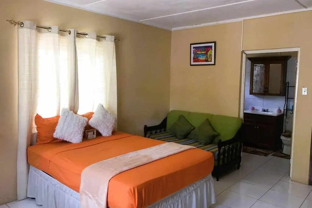 Studio In The Hills Of Ocho Rios Lejlighed