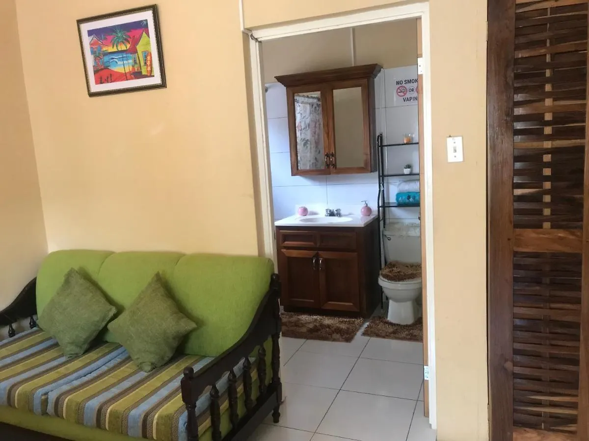 Studio In The Hills Of Ocho Rios Lejlighed